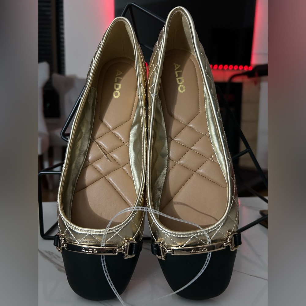 Aldo Woman’s Leanne Ballet Flat (NWOB)